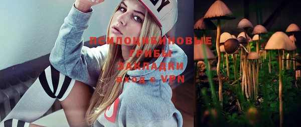 хмурый Алексеевка