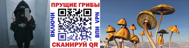 Псилоцибиновые грибы Cubensis Брянск