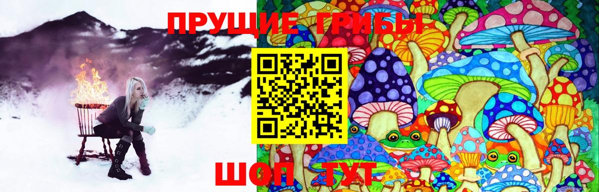 Псилоцибиновые грибы мицелий  Псилоцибиновые грибы мухоморы  где продают   Брянск  Вход с VPN 